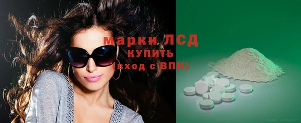 сатива Белокуриха