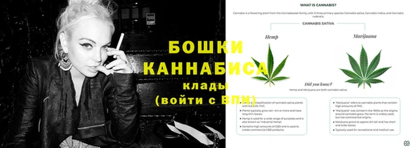 сатива Белокуриха