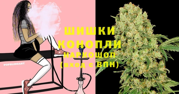 сатива Белокуриха